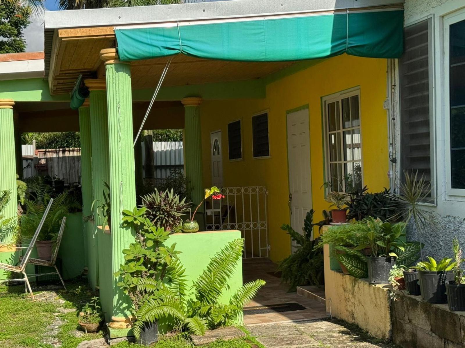 Shalom Suite 2, Manor Park Kingston Exterior photo